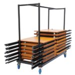 Z-LITE Horizontal Exam Desk Trolley