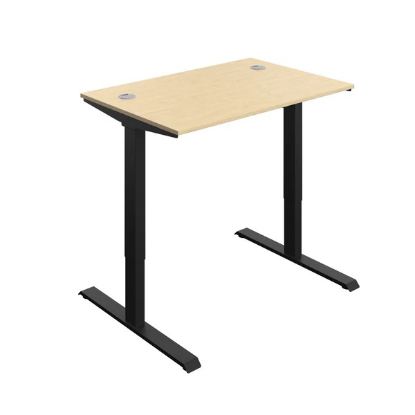 Economy Single Motor Sit Stand Desk - 1200x800 - Maple