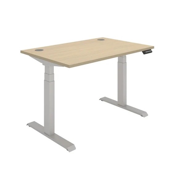 Office Rectangular Dual Motor Sit Stand Desk - 1200x800 - Oak