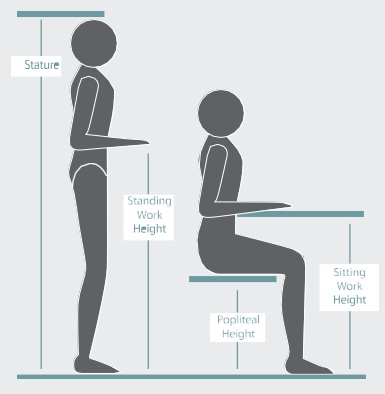 Sit to Stand Table Height Guide